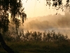 sur-le-bord-d-un-etang-le-matin