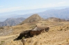 casa-sur-altiplano