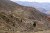 de-huari-a-coquesa