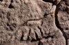 petroglyphe-maragua