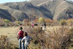 paysage mongole